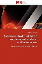Calixarenes hydrosolubles a proprietes antivirales et antibacteriennes