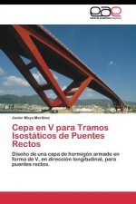 Cepa en V para Tramos Isostaticos de Puentes Rectos