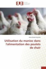 Utilisation du manioc dans l'alimentation des poulets de chair
