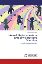 Internal displacements in Zimbabwe