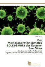 Membranproteinkomplex BDLF2/BMRF2 des Epstein-Barr Virus