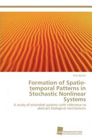 Formation of Spatio-Temporal Patterns in Stochastic Nonlinear Systems