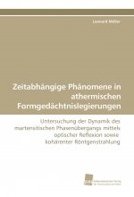 Zeitabhängige Phänomene in athermischen Formgedächtnislegierungen
