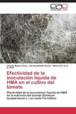 Efectividad de la inoculacion liquida de HMA en el cultivo del tomate