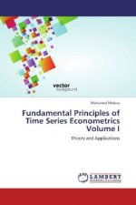 Fundamental Principles of Time Series Econometrics Volume I