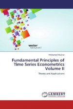 Fundamental Principles of Time Series Econometrics Volume II