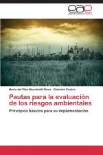 Pautas para la evaluacion de los riesgos ambientales