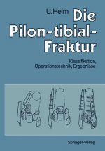 Die Pilon-tibial-Fraktur