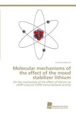 Molecular mechanisms of the effect of the mood stabilizer lithium