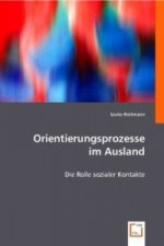 Orientierungsprozesse im Ausland