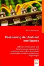 Realisierung der Ambient Intelligence