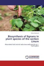 Biosynthesis of lignans in plant species of the section Linum