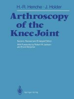 Arthroscopy of the Knee Joint