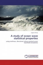 A study of ocean wave statistical properties