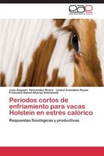 Periodos cortos de enfriamiento para vacas Holstein en estres calorico