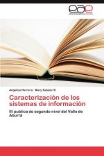 Caracterizacion de los sistemas de informacion