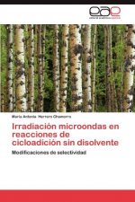 Irradiacion Microondas En Reacciones de Cicloadicion Sin Disolvente