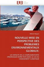 Nouvelle mise en perspective des problemes environnementaux globaux