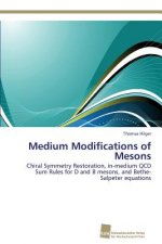 Medium Modifications of Mesons