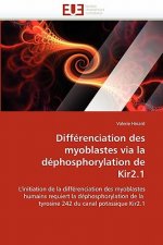 Diff renciation Des Myoblastes Via La D phosphorylation de Kir2.1