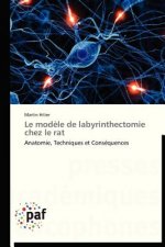 Le Modele de Labyrinthectomie Chez Le Rat