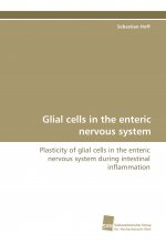 Glial cells in the enteric nervous system