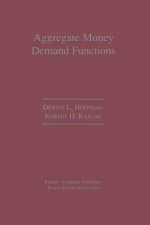 Aggregate Money Demand Functions