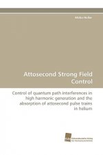 Attosecond Strong Field Control