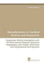 Hemodynamics in Cerebral Arteries and Aneurysms