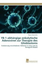 YB-1-abhangige onkolytische Adenoviren zur Therapie des Glioblastoms
