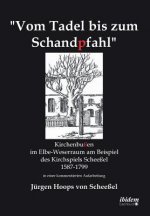 Vom Tadel bis zum Schandpfahl. Kirchenbu en im Elbe-Weserraum am Beispiel des Kirchspiels Schee el 1587 bis 1799 in einer kommentierten Aufarbeitung