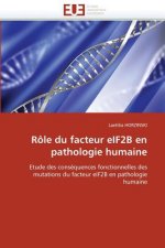 R le Du Facteur Eif2b En Pathologie Humaine