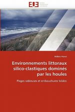 Environnements Littoraux Silico-Clastiques Domin s Par Les Houles