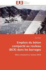 Emplois du beton compacte au rouleau (bcr) dans les barrages