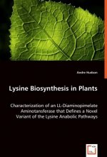Lysine Biosynthesis in Plants