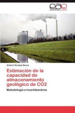 Estimacion de la capacidad de almacenamiento geologico de CO2