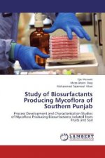 Study of Biosurfactants Producing Mycoflora of Southern Punjab