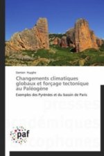 Changements climatiques globaux et forçage tectonique au Paléogène