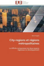 City-Regions Et Regions Metropolitaines