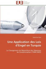 Une Application Des Lois D Engel En Turquie