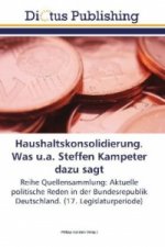 Haushaltskonsolidierung. Was u.a. Steffen Kampeter dazu sagt