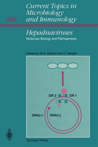 Hepadnaviruses