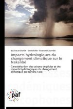 Impacts Hydrologiques Du Changement Climatique Sur Le Nakanbe