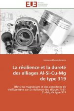 Re Silience Et La Duret  Des Alliages Al-Si-Cu-MG de Type 319
