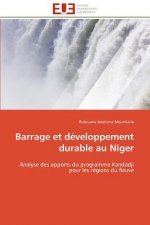 Barrage et developpement durable au niger