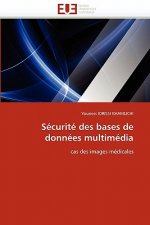 Securite des bases de donnees multimedia