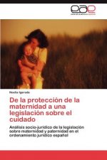 De la proteccion de la maternidad a una legislacion sobre el cuidado