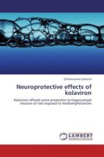 Neuroprotective effects of kolaviron