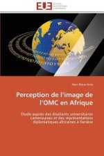 Perception de L Image de L Omc En Afrique