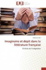 Imaginaire et dépit dans la littérature française
